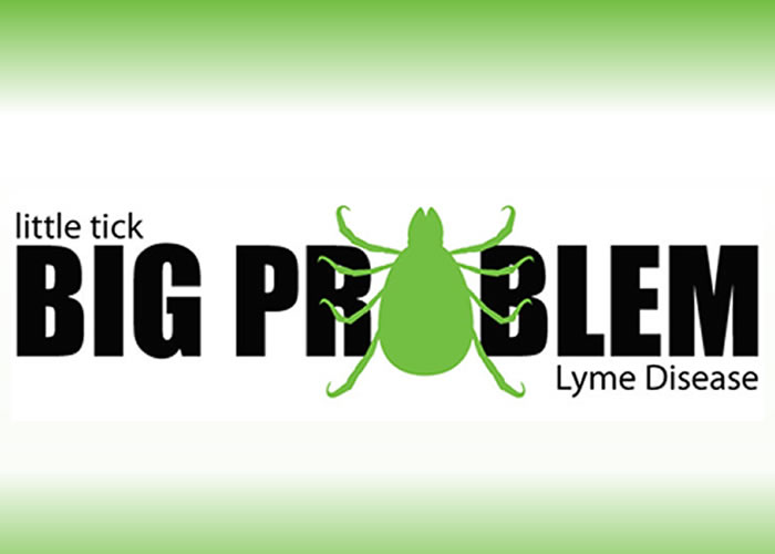 litte tick big problem